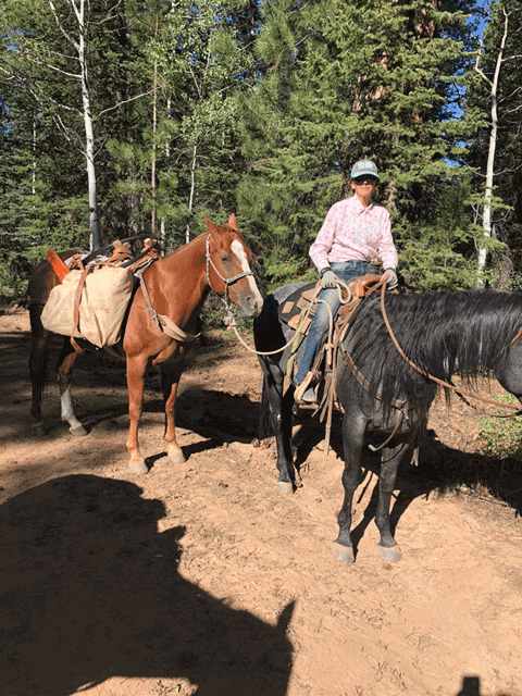 family-owned, all-natural, grass-fed beef -6