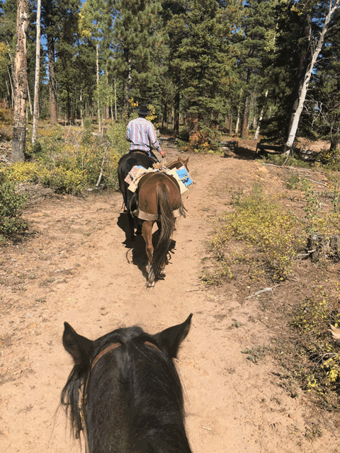 High-Quality, All-Natural Beef -24